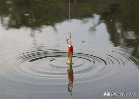 釣魚就這一種釣法，野釣水庫，百試百靈——盛世三漁 每日頭條