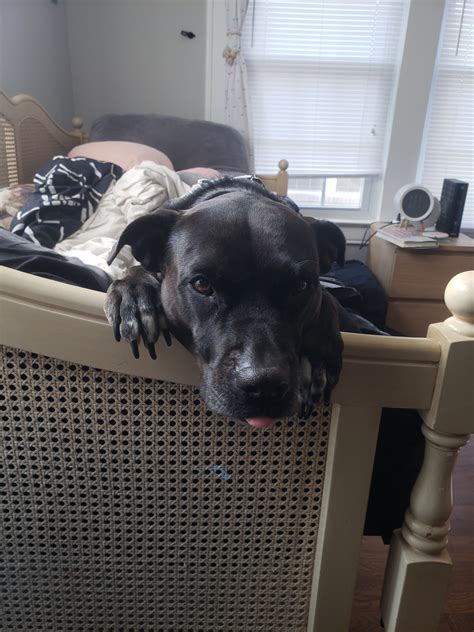 bubblegumtree (@anthysweek) / Twitter