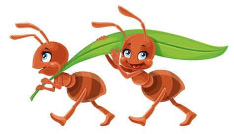 Vector Ant Illustration Nature Biology Entomology Png