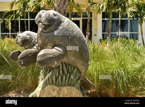 Manatee statue at the Manatee Lagoon Discovery Center, West Palm Beach