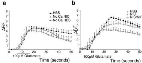 The Effect Of Nicotine On Glutamate Mediated Ca Entry Is Dependent