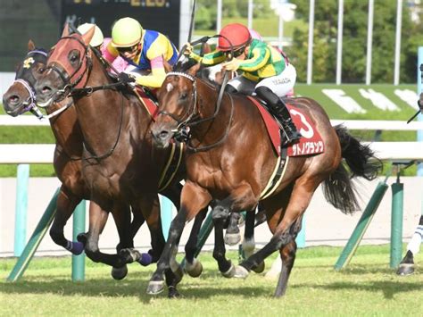 【週末情報】神戸新聞杯vのサトノグランツ 菊花賞に向けて好調キープ馬三郎のつぶやき 競馬ニュース Netkeiba