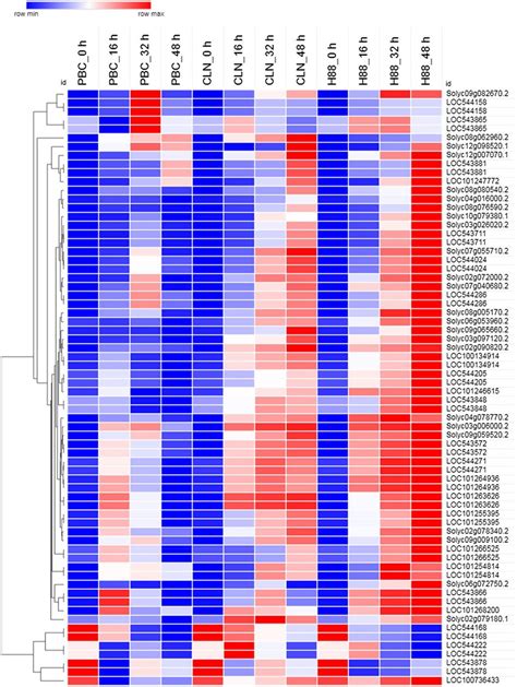 Heatmap And Hierarchical Clustering Showing Expression Pattern Of 67