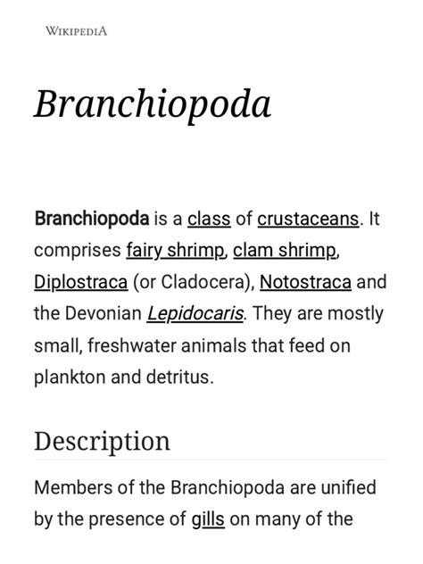 Branchiopoda - Wikipedia | PDF | Arthropods | Taxa