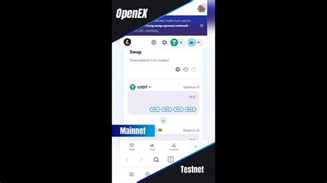 Activer Le R Seau Testnet De Openex Ou Les Tapes De La Pr Paration Du