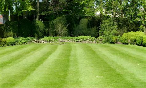 How To Stripe Lawn Without Roller Wakeful Home