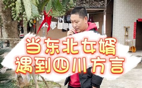 当东北女婿遇到四川方言 东北版黎明 东北版黎明 哔哩哔哩视频