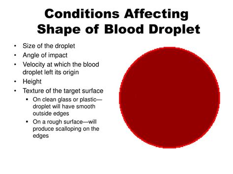 Ppt Blood Powerpoint Presentation Free Download Id5808201
