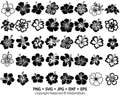 Hawaii Hibiscus Flower Svg Bundle Tropical Flower Svg Flowers