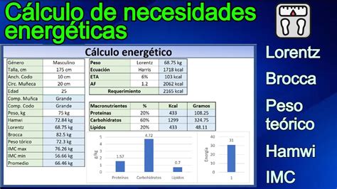 Cálculo De Gasto Energético BRAINCP