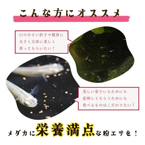 めだか 餌 粉末 ヤバい粉エサ 20g 高品質 超微細粒子 メダカ エサ 粉 パウダー 針子 稚魚 粉餌 高タンパク 食いつき改善 華めだか