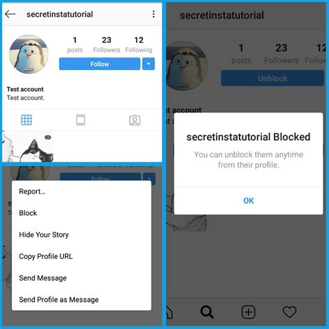 How To Know If Someone Blocked You On Instagram Insta Secret Tips