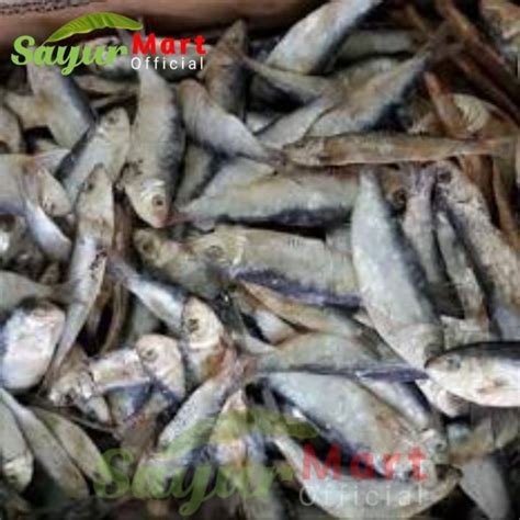 Jual Ikan Asin Tembang 250gr Shopee Indonesia