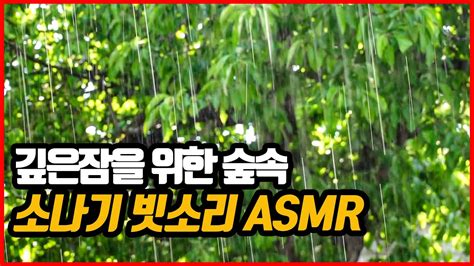 광고없는 깊은잠을 위한 숲속 소나기 빗소리 Asmr 숲에 내리는 빗소리 10시간 재생 불면증 수면유도 깊은잠