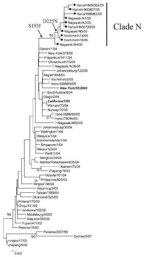 Phylogenetic Tree Analysis Among Hemagglutin Ha Genes From Human H3n2