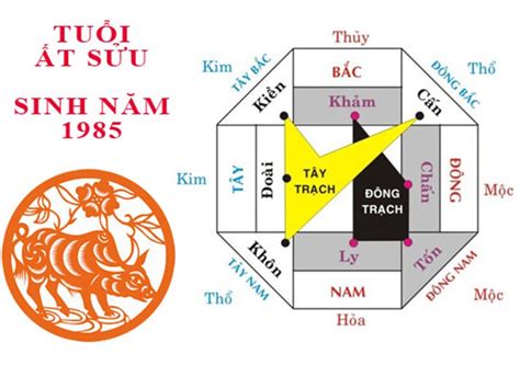 Top hơn 31 tuổi ất sửu mua nhà hướng nào hay nhất thxombang edu vn