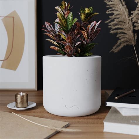 Горшок для цветов Julia, 2.5 л, цветочный горшок, кашпо кактусов и ...