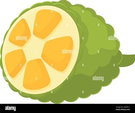 Vegetarian Jackfruit Icon Cartoon Vector Summer Food Organic Dessert