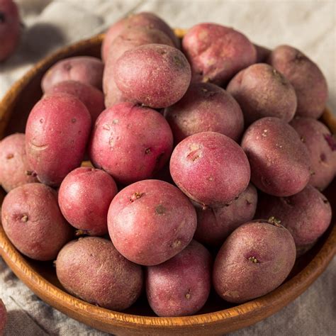 Garden State Bulb Red Norland Seed Potatoes For Planting Non Gmo 5lb Bag