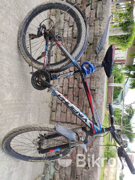 Bicycle For Sale Narayanganj Bikroy