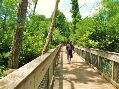 Walking the greenway in Suwanee, Georgia | North georgia, Suwanee, Georgia