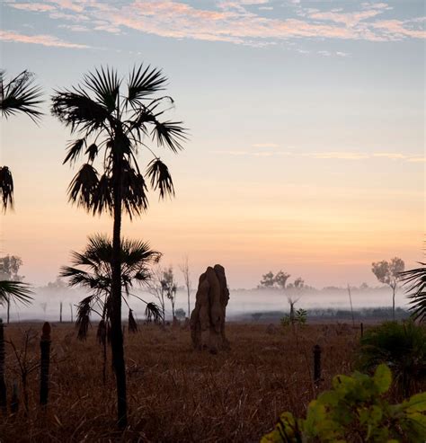 National parks in Darwin | Northern Territory, Australia