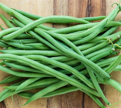 Top Crop Bush Green Beans Seeds Non Gmo Heirloom Seeds Etsy