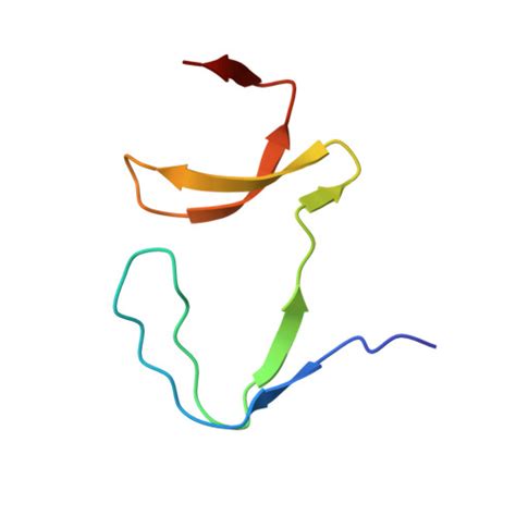 Rcsb Pdb 7pvz Crystal Structure Of The Intertwined Dimer Of The C Src Sh3 Domain E93v S94a