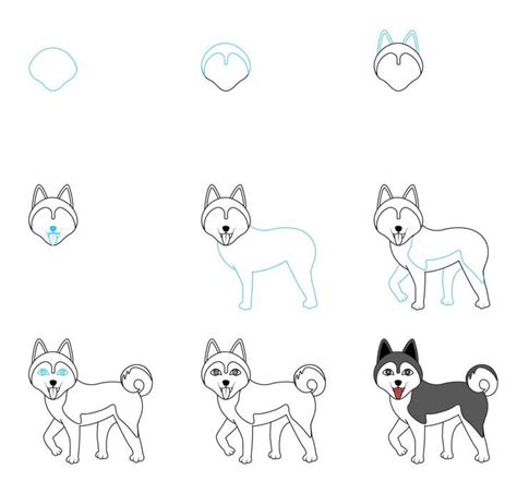 Comment Dessiner Id Es De Chiens Husky Dessin Facile