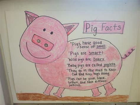 Pig Facts Have Kids Color The Pig Together And Help Decide On Facts