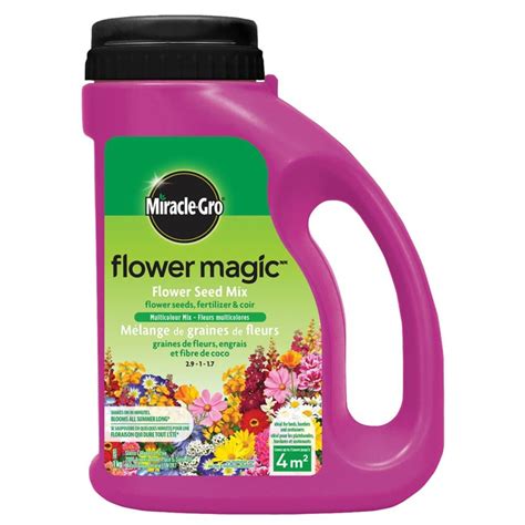 Miracle Gro 1 Kg Flower Magic Multicolor Mix The Home Depot Canada