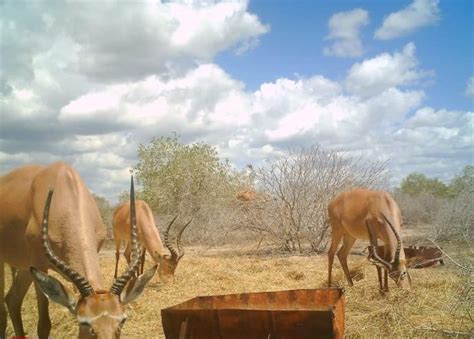 Garissa History - Garissa County Government