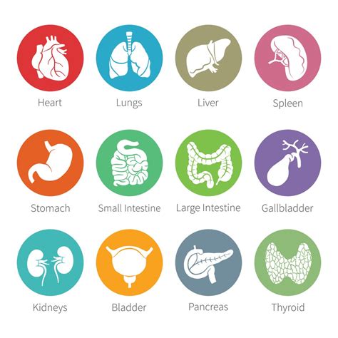 Holistically Savvy Regulating Your Sleep Energy And Pain With Your