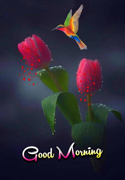 A Hummingbird Flying Over Some Pink Flowers With The Words Good Morning