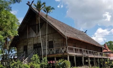 Rumah Adat Suku Dayak Maanyan Price 7