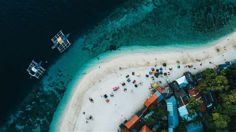 Moalboal Guide Pescador Island Sardine Run Turtle Point Basdaku