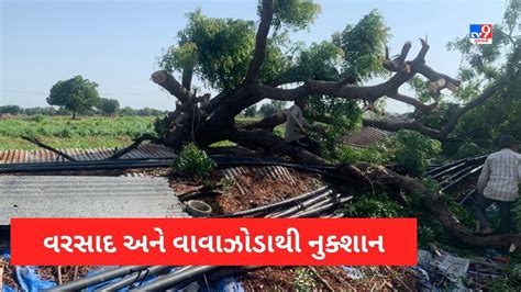 Rain In North Gujarat અરવલ્લી અને સાબરકાંઠામાં વરસાદ વાવાઝોડાથી ભારે