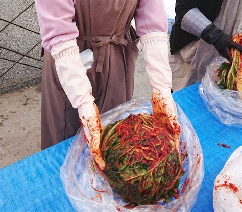 キムジャン（白菜キムチの漬け込み 登志子のキッチン キムチ 白菜 韓国料理