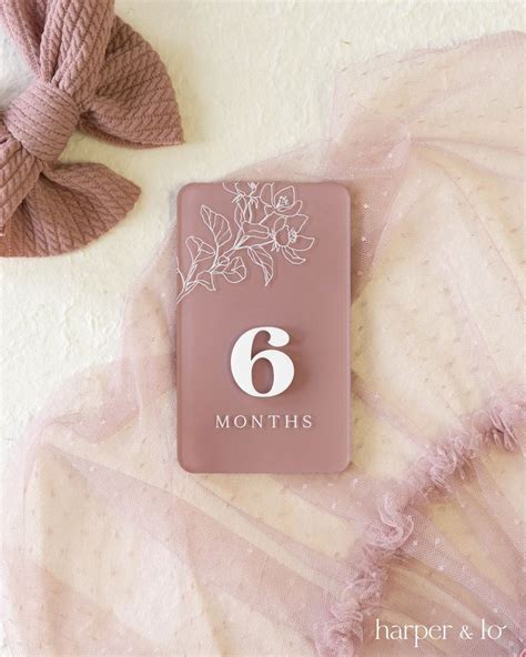 Acrylic Boho Flower Milestone Cards Monthly Milestone Plaque Markers