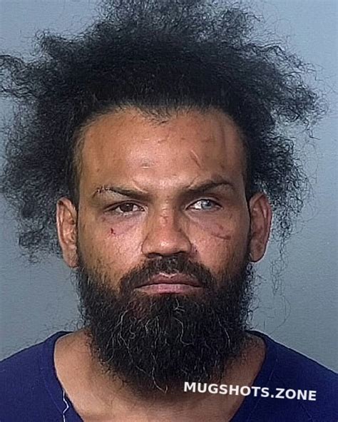 MEJIA EDWIN A 02 04 2024 Manatee County Mugshots Zone