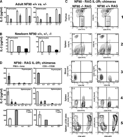 Targeted Disruption Of Nf Impairs T Cell Il Gene Expression And T