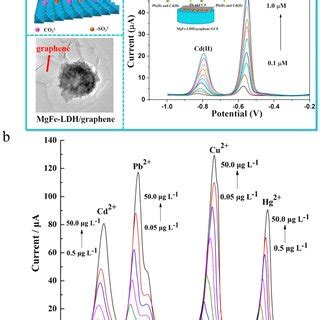 Pdf Recent Advances In The Detection And Removal Of Heavy Metal Ions