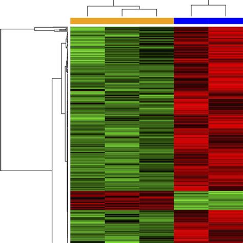 Heatmap Of The Differentially Expressed Genes Degs The Left Three