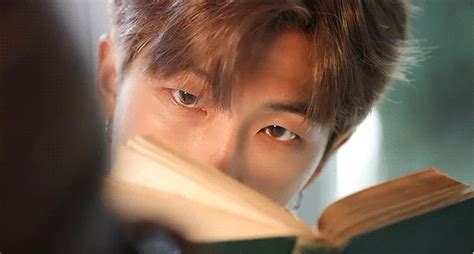 Conejo Literario Libros Favoritos De RM Namjoon De BTS