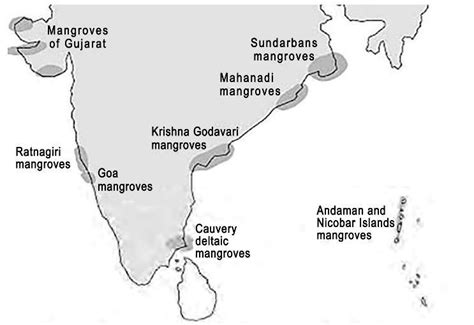 Natural vegetation of India: Evergreen, Deciduous, Montane, Thorn ...