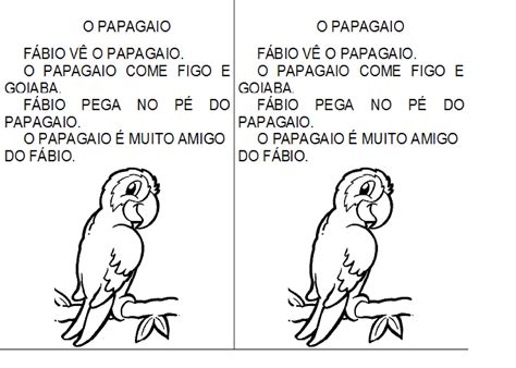 Como Separa A Palavra Papagaio - Separação Da Palavra Papagaio - RETOEDU