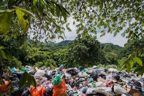 Proceso Para Contratar Recolecci N De Basura En Nosara Continuar Pese