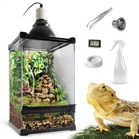 Buy Reptile Tall Glass Terrarium Vertical Tank Starter Kit 8x8x12in