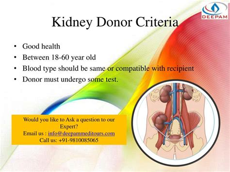 Ppt Kidney Transplant The Simplified Guide Powerpoint Presentation