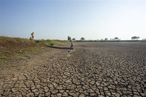 Berita Apa Itu El Nino Terbaru Dan Terkini Hari Ini Katadata Co Id